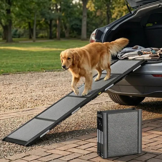 Hond loopt over de loopplank de auto in